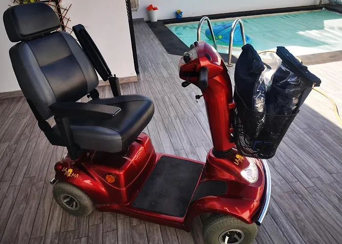 Lau Haizeta فيلة